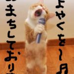 予約お待ちしております　鳥栖市鳥栖駅近くの人気美容室　コレバ　カットがうまいと口コミでおすすめ　メンズ家族連れも多い